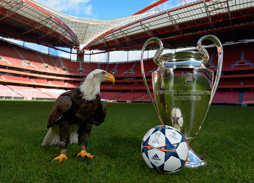 当年公牛若敢赌麦迪芝加哥会不会重建成功（若当年公牛押宝麦迪，芝加哥能否完成重建？）